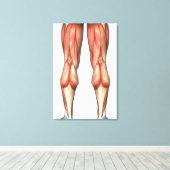 Abbildung Veranschaulichung der Muskelgruppen Leinwanddruck (Insitu (Holzboden))