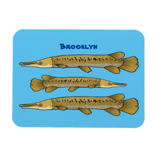 Abbildung zum Cartoon von Alligator Magnet