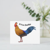 Abbildung zum Cartoon von Sri Lankischer Dschungel Postkarte (Stehend Vorderseite)