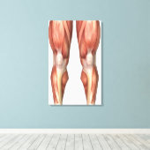 Abbildung zur Veranschaulichung der Muskelgruppen  Leinwanddruck (Insitu (Holzboden))