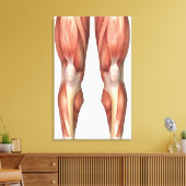 Abbildung zur Veranschaulichung der Muskelgruppen  Leinwanddruck (Insitu (Wohnzimmer))