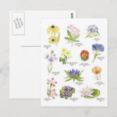 Abbildungen zur botanischen Blume Postkarte (Vorne/Hinten)
