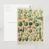 Abbildungs-Wörterbuch Früchte Postkarte (Vorne/Hinten)
