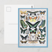 Abbildungsverzeichnis Schmetterlinge Postkarte (Vorne/Hinten)