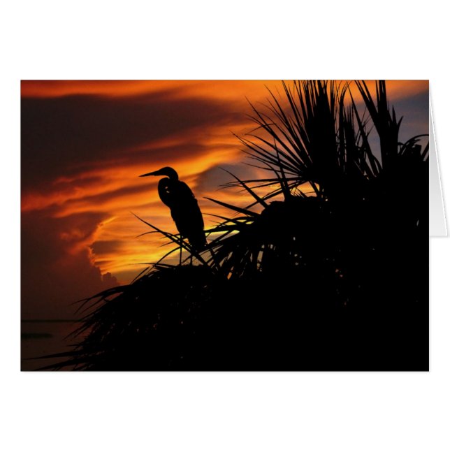 Abblendlicht (Vorderseite (Horizontal))