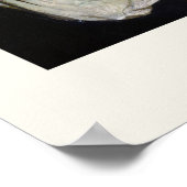 Abbott Handerson Thayer Angel Wings Stevenson Poster (Ecke)