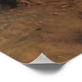 Abbott Handerson Thayer Die Jungfrau Poster (Ecke)