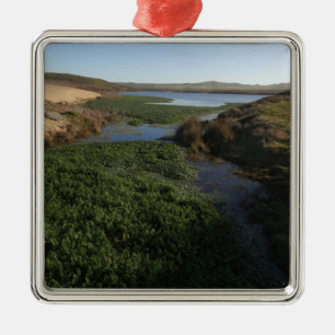 Abbotts Lagoon I an Point Reyes National Seashore Ornament Aus Metall