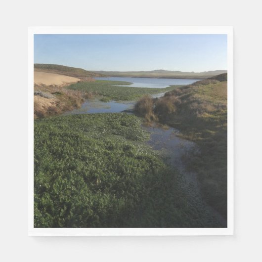 Abbotts Lagoon I an Point Reyes National Seashore Serviette (Vorderseite)