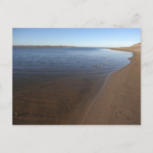 Abbotts Lagoon II im Point Reyes National Seashore Postkarte
