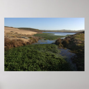 Abbotts Lagune I im Point Reyes National Seashore Poster