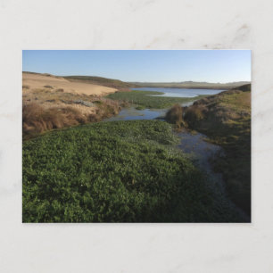 Abbotts Lagune I im Point Reyes National Seashore Postkarte
