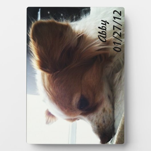 Abby 2012 fotoplatte (Vorderseite)