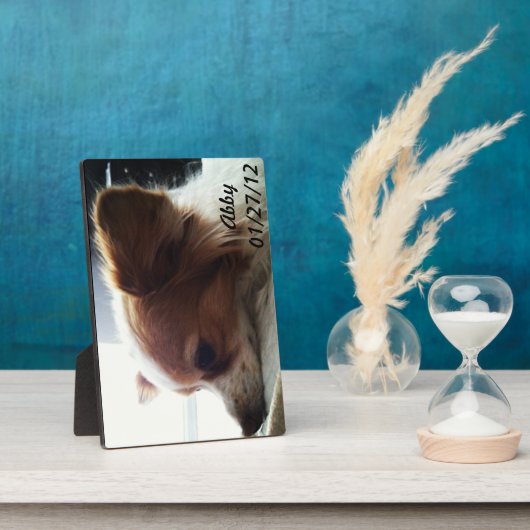 Abby 2012 fotoplatte (Seite)