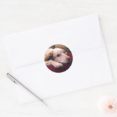 Abby Brittany Spaniel Runder Aufkleber (Umschlag)