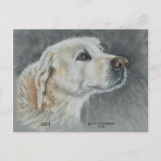 Abby, ein wahrer Freund. Postkarte