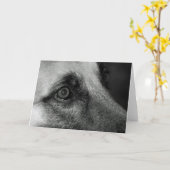 Abby German Shephful Eye Blank Card Karte (Gelbe Blume)