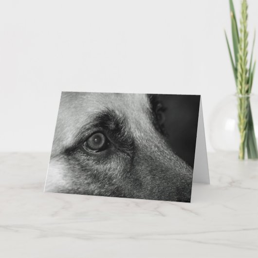 Abby German Shephful Eye Blank Card Karte (Vorderseite)
