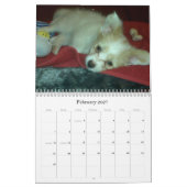 Abby Gewohnheits-Kalender Kalender (Feb 2027)
