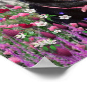 Abby in Blume - Black Lab Dog Poster (Ecke)