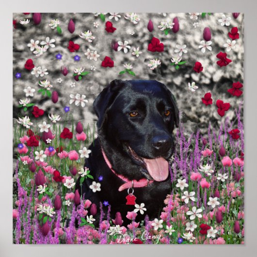 Abby in Blume - Black Lab Dog Poster (Vorne)