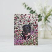 Abby in Blume - Black Lab Dog Postkarte (Stehend Vorderseite)