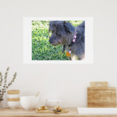 Abby Mae Poster (Küche)