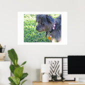 Abby Mae Poster (Heimbüro)