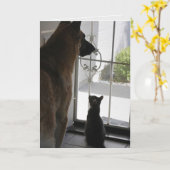 Abby mit Zorro-Jubiläumskarte Karte (Gelbe Blume)