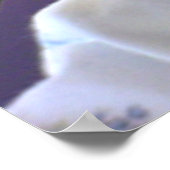 Abby Poster (Ecke)