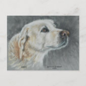 Abby Postkarte (Vorderseite)