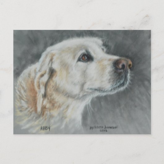 Abby Postkarte (Vorderseite)