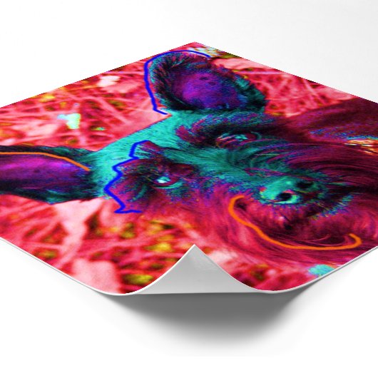 Abby the Schnauzer Poster (Ecke)