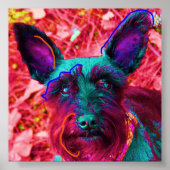 Abby the Schnauzer Poster (Vorne)