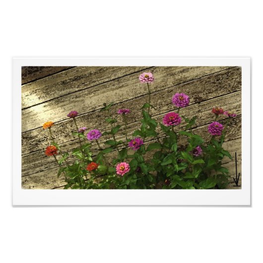 Abbys Blume Fotodruck (Vorne)