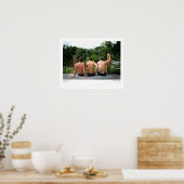 ABC-5374, Jungen des Sommers, Lee Vandergrift Poster (Küche)