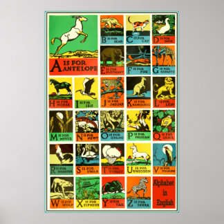 Abc Alphabet Animal Poster - Lehrhilfeskizze