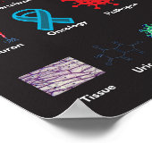 ABC der Biologie Poster (Ecke)