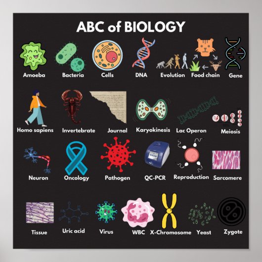 ABC der Biologie Poster (Vorne)