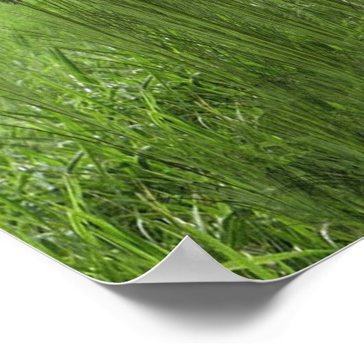 ABC Hauptstadt Alphabet Themen. Poster (Ecke)