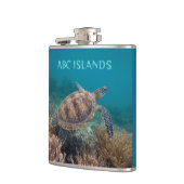 Abc-Insel-Schildkröte Flachmann (Links)
