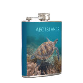 Abc-Insel-Schildkröte Flachmann (Rechts)