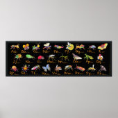 ABC Whimsical Bugs Poster (Vorne)