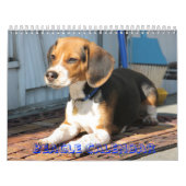Abdeckung, Beagle-Kalender Kalender (Titelbild)