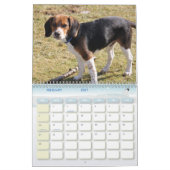 Abdeckung, Beagle-Kalender Kalender (Feb 2027)