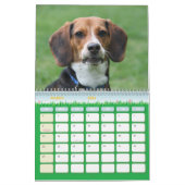 Abdeckung, Beagle-Kalender Kalender (Mär 2026)