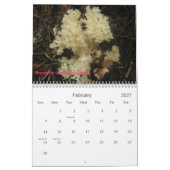 Abdeckung, Pilze des Nordwestens Kalender (Feb 2027)