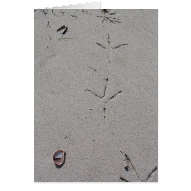 Abdrücke auf einem Sandy-Strand (Vorne)