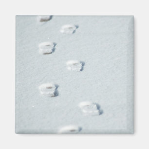 Abdrücke im Schnee Magnet