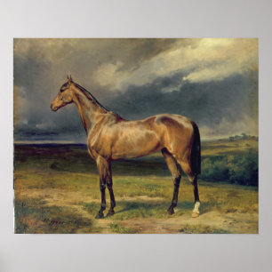 Abdul Medschid' das Kastanienholzpferd, 1855 Poster